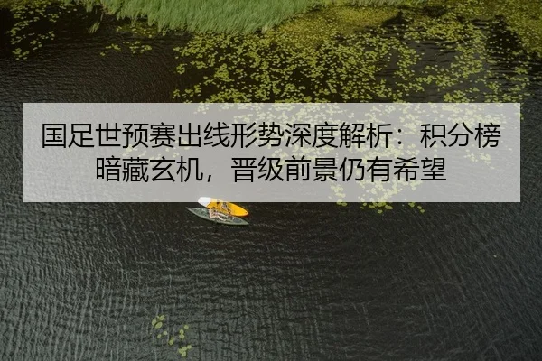 国足世预赛出线形势深度解析：积分榜暗藏玄机，晋级前景仍有希望